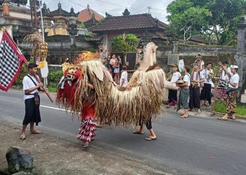 Atraksi Barong Don Buah dalam tradisi ngelawang yang dilakukan kelompok seni dari Yayasan Lilanjani Kerta Bumi, Desa Belumbang, Kecamatan Kerambitan, saat Umanis Kuningan, Minggu (15/1/2023). (Chairul Amri Simabur/detikBali)